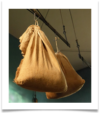 Hanging sacks P1060483 - Carol Sparkes Hanging sacks P1060483 - Carol Sparkes